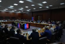 International Conference “Unity and Diversity