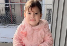 US Immigration Under Fire Again After Detaining 2-Year-Old In Minneapolis