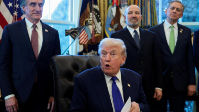 Trump administration to create strategic reserve for rare earth elements