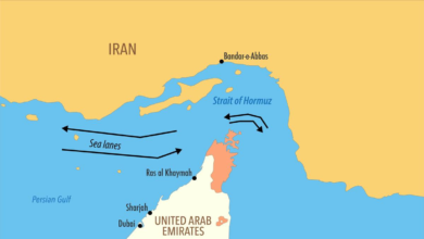 India among five nations granted passage through Strait of Hormuz by Tehran