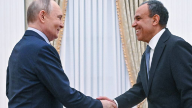 Putin holds meeting with Egyptian foreign minister