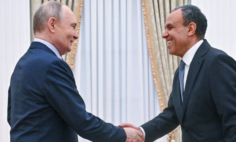 Putin holds meeting with Egyptian foreign minister