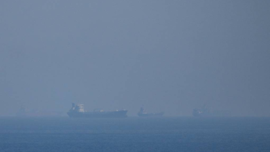 Iran divides countries into three categories based on use of Strait of Hormuz