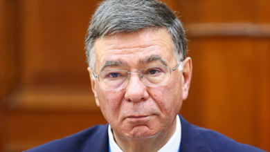 Russia-Hungarian relations to be normal, Budapest pragmatic — deputy foreign minister