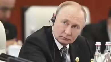 Putin India Visit for BRICS Summit Strengthens Ties