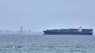 More than 40 ships cross Strait of Hormuz over past weekend — calculations