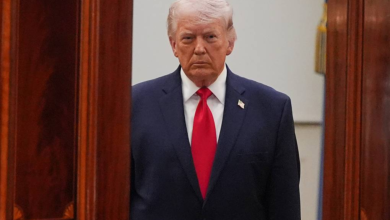 Trump praises his talks with Xi Jinping as 'great'