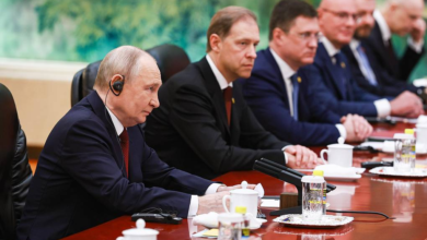 Putin describes Russia-China talks involving key officials as substantive