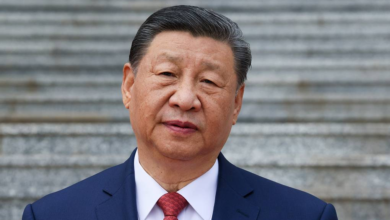 Xi, Putin send clear signal of increased stability to global community — Chinese experts