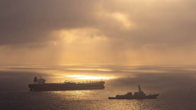 US led over 100 vessels via Strait of Hormuz in May — NYT