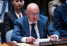 UN, IAEA trying to play both sides on Zaporozhye NPP issue — Russian Envoy