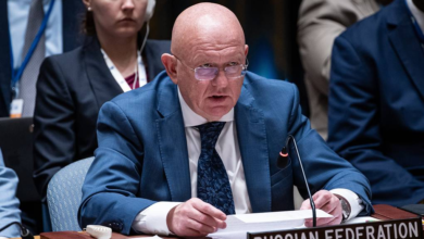 UN, IAEA trying to play both sides on Zaporozhye NPP issue — Russian Envoy