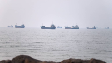 Iran and Oman to Decide Strait of Hormuz Transit Fees for Western Ships