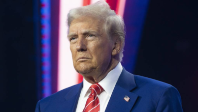 NATO summit to present military confrontation with Russia to Trump as business project