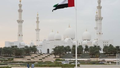 UAE Halts Trade With Iran After Missile Attack