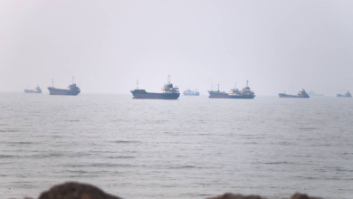 Iran Opens Temporary Strait of Hormuz Shipping Route in Deal With Oman