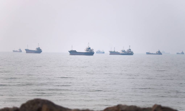 Iran Opens Temporary Strait of Hormuz Shipping Route in Deal With Oman