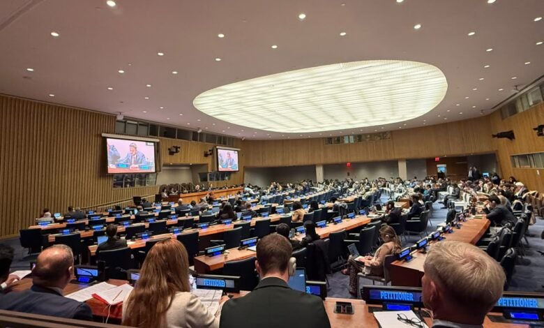 Dr Abdul Basit Syed addressing the UN Fourth Committee on Morocco’s development, humanitarian protection and regional security.