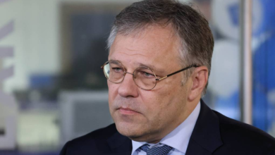 Ukraine EU Accession Agricultural Products: EU Market Concerns