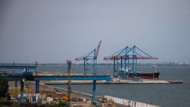 Ukraine Port Downtime Losses Reach $6 Billion as Exports Decline