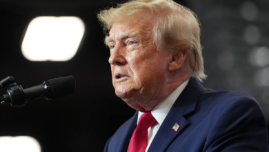 Trump Expects to Meet Putin and Zelensky Soon Amid Ukraine Peace Efforts