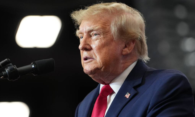 Trump Expects to Meet Putin and Zelensky Soon Amid Ukraine Peace Efforts
